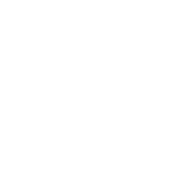 Budget icon