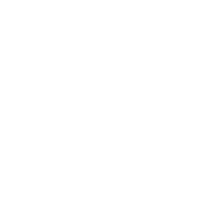 Fully managed Icon