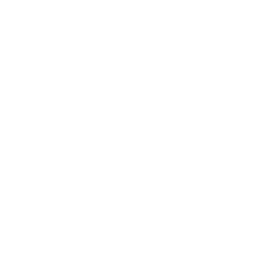 Integrity icon