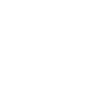 Transparent pricing icon