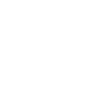trusted team icon